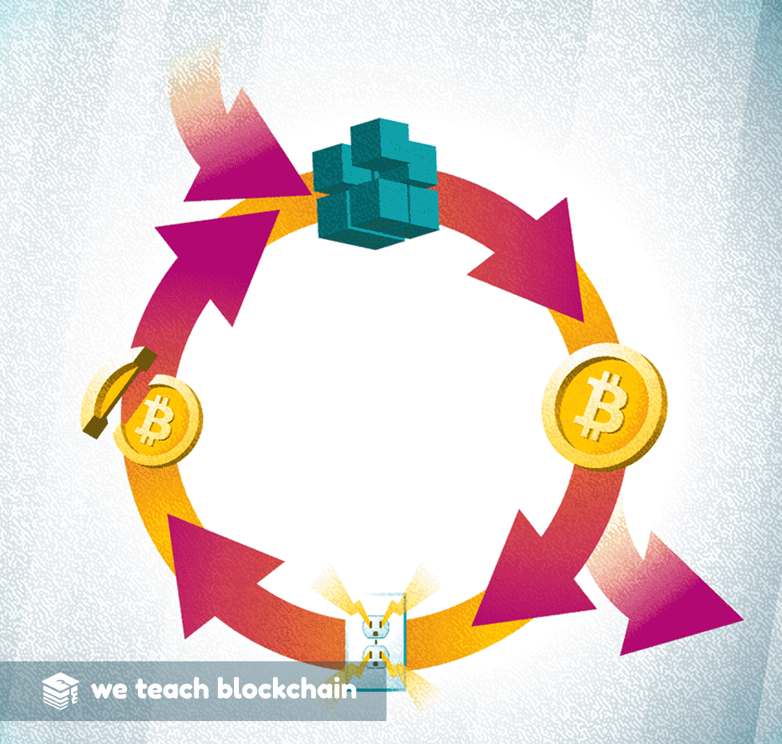 Bitcoin feedback cycle